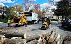 Best Tree Risk Assessment  in Two Rivers, WI